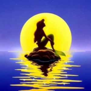 Meet your Posher, Ariel